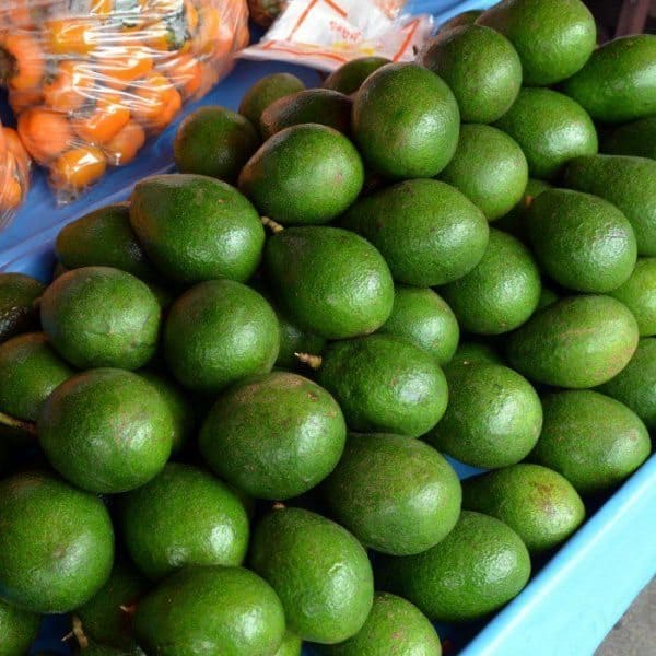 best brain food like avocados is great food for your brain