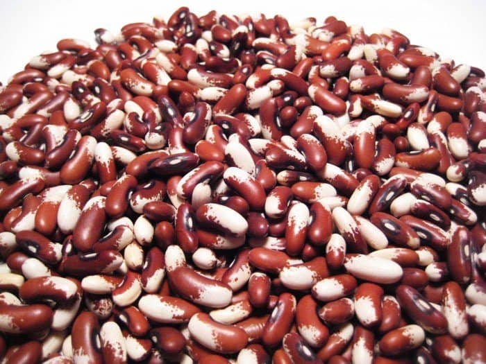 best brain food like beans is great food for your brain