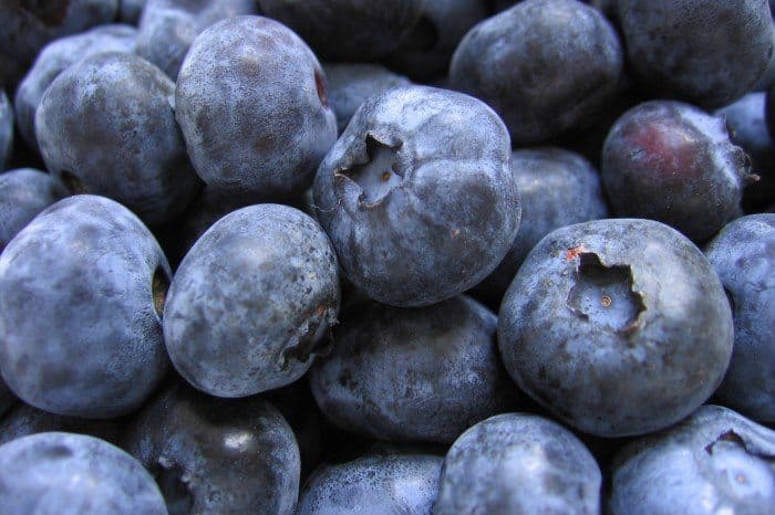 best brain food like blueberries is great food for your brain