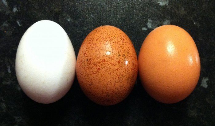 best brain foods like eggs are some of the best foods for the brain