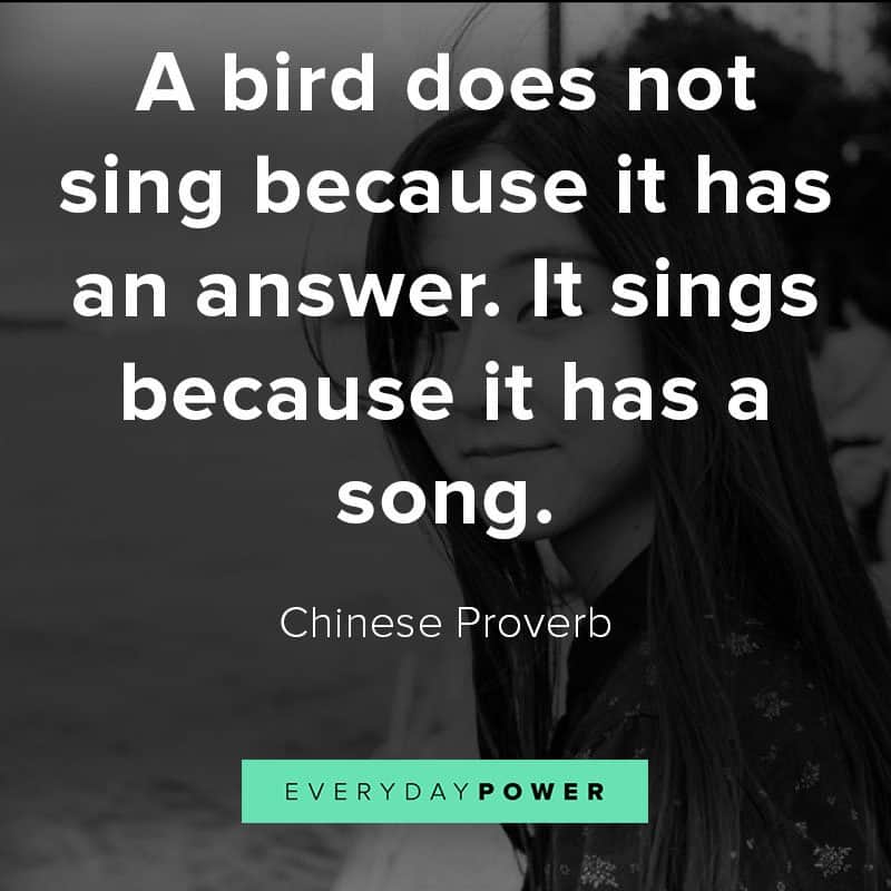 Chinese proverbs on learning and education Chinese proverbs on learning and education