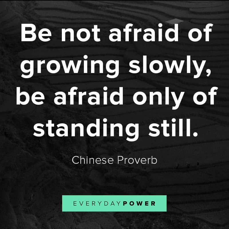 Chinese proverbs on learning and education Chinese proverbs on learning and education