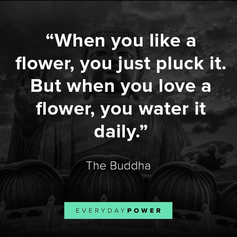 Buddha quotes about loving your life Buddha quotes about loving your life