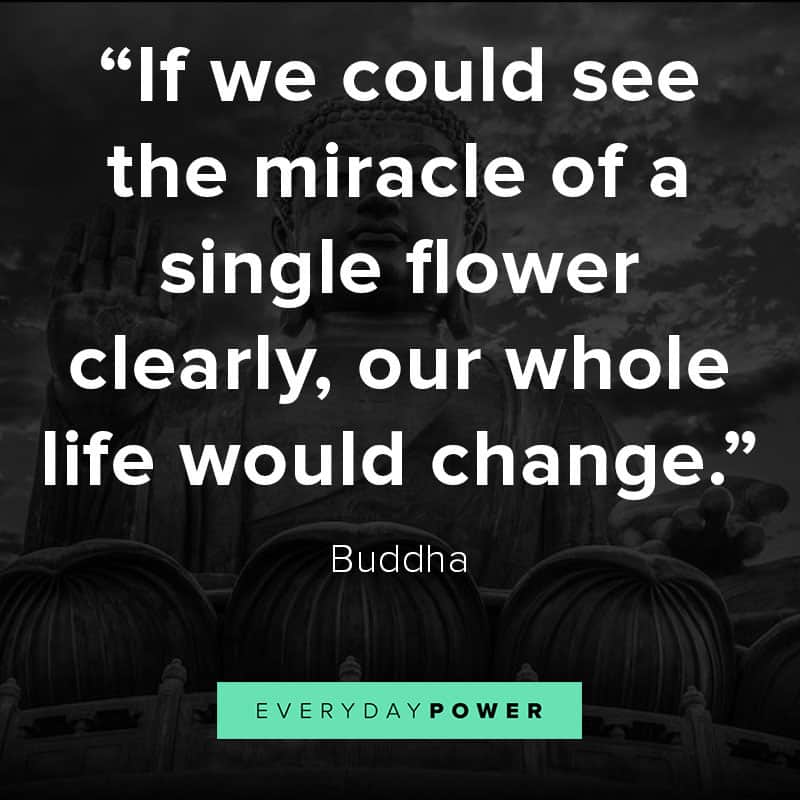 More sayings and quotes by Buddha about being present and calm More sayings and quotes by Buddha about being present and calm