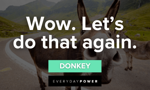 “Wow. Let's do that again.” -Donkey Hilarious Shrek Quotes