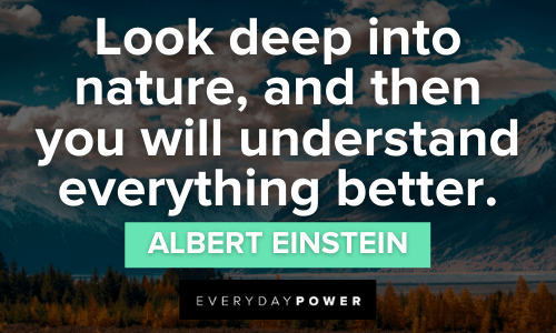 “Look deep into nature, and then you will understand everything better.” - Albert Einstein Forest quotes about nature