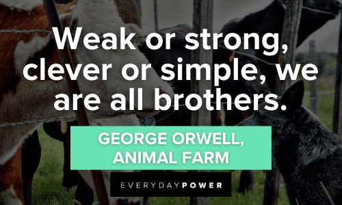 “Weak or strong, clever or simple, we are all brothers.” ― George Orwell, Animal Farm Animal Farm Quotes about brotherhood