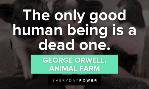 “The only good human being is a dead one.” ― George Orwell Animal Farm Quotes about human beings