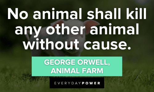 “No animal shall kill any other animal without cause.” ― George Orwell, Animal Farm Animal Farm Quotes about animals