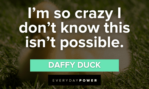 "I'm so crazy I don't know this isn't possible." - Daffy Duck crazy Daffy Duck Quotes about being crazy