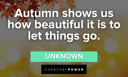 “Autumn shows us how beautiful it is to let things go.” – Unknown September Quotes about autumn