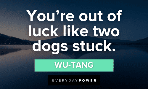 4. “You’re out of luck like two dogs stuck.” - Wu-Tang Wu-Tang Quotes about luck
