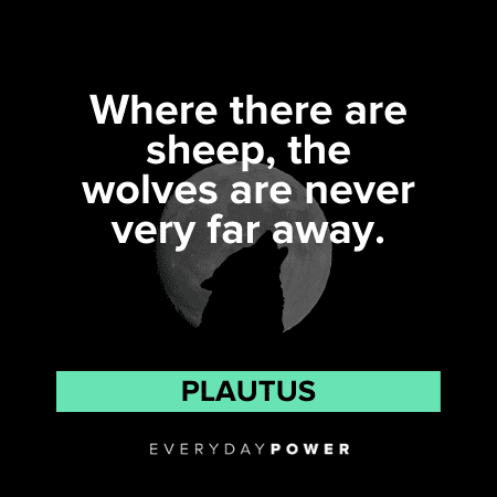 “Where there are sheep, the wolves are never very far away.” - Plautus wise Wolf Quotes