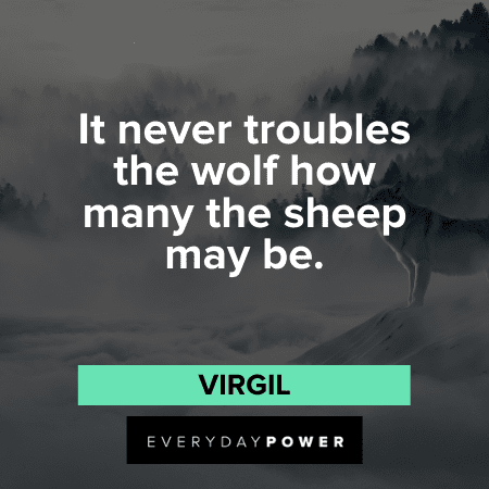 “It never troubles the wolf how many the sheep may be.” – Virgil Wolf Quotes and proverbs