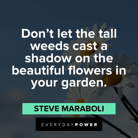 “Don’t let the tall weeds cast a shadow on the beautiful flowers in your garden.” — Steve Maraboli Flower Quotes about gardens