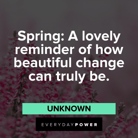 “Spring: A lovely reminder of how beautiful change can truly be.” — Unknown Flower Quotes about spring