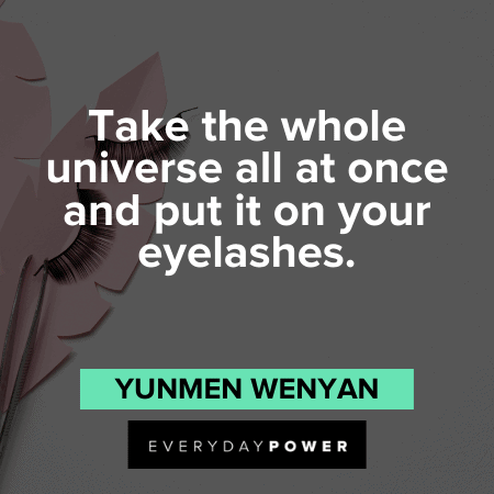 "Take the whole universe all at once and put it on your eyelashes." - Yunmen Wenyan lash quotes about universe