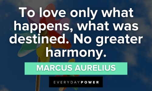 To love only what happens, what was destined. No greater harmony. - Marcus Aurelius Marcus Aurelius quotes on love