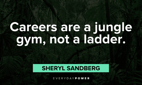"Careers are a jungle gym, not a ladder." - Sheryl Sandberg Sheryl Sandberg Quotes about careers