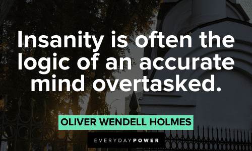 “Insanity is often the logic of an accurate mind overtasked.” – Oliver Wendell Holmes Oliver Wendell Holmes Quotes about insanity