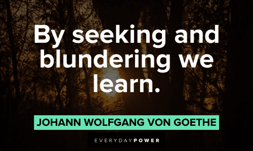 "By seeking and blundering we learn." - Johann Wolfgang von Goethe Goethe Quotes about learning