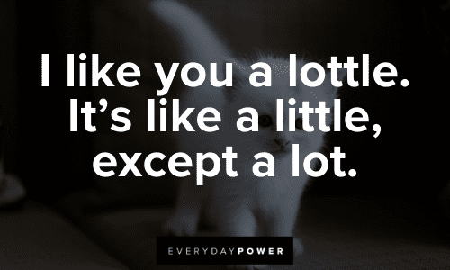 I like you a lottle. It's like a little, except a lot. short Love Picture Quotes