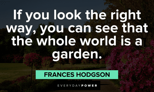 “If you look the right way, you can see that the whole world is a garden.” ― Frances Hodgson Burnett Positive Attitude Quotes and sayings