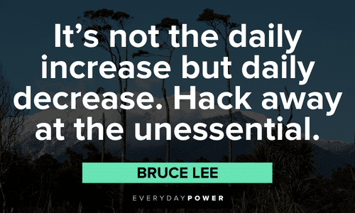“It’s not the daily increase but daily decrease. Hack away at the unessential.” - Bruce Lee wise Bruce Lee Quotes about It’s not the daily increase but daily decrease. Hack away at the unessential
