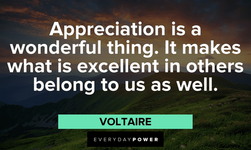 “Appreciation is a wonderful thing. It makes what is excellent in others belong to us as well.” - Voltaire Gratitude Quotes about appreciations