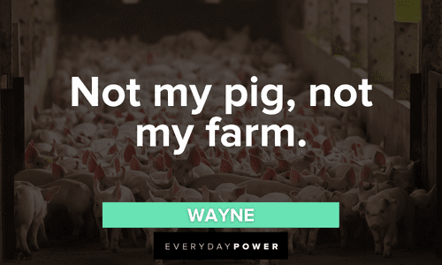 “Not my pig, not my farm.” — Wayne Letterkenny quotes about pigs