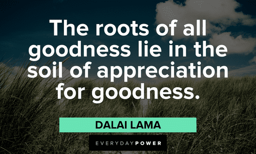 the soil of appreciation for goodness." ― Dalai Lama Dalai Lama Quotes and sayings