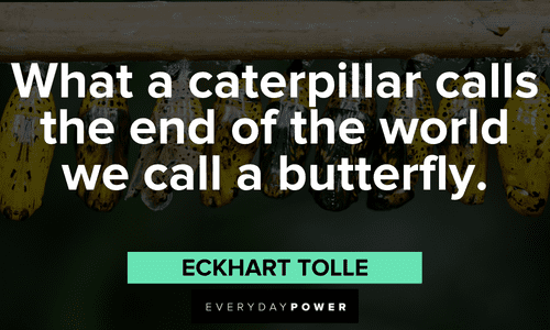 “What a caterpillar calls the end of the world we call a butterfly.”― Eckhart Tolle Eckhart Tolle Quotes about change