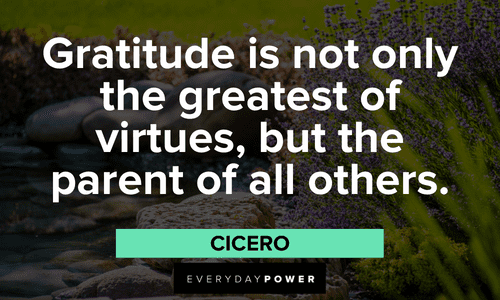 “Gratitude is not only the greatest of virtues, but the parent of all others.” - Cicero Gratitude Quotes About Being Thankful