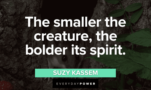 “The smaller the creature, the bolder its spirit.” - Suzy Kassem short Forest quotes