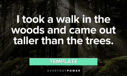 “I took a walk in the woods and came out taller than the trees.” - Henry David Thoreau Forest quotes about walking in the woods