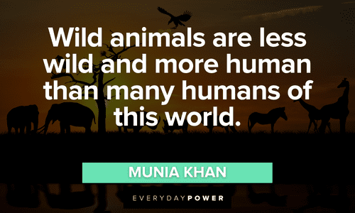 “Wild animals are less wild and more human than many humans of this world” - Munia Khan Forest quotes about wild animals