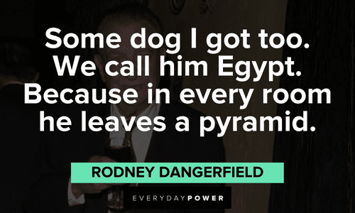 "Some dog I got too. We call him Egypt. Because in every room he leaves a pyramid." - Rodney Dangerfield Rodney Dangerfield quotes about his dog
