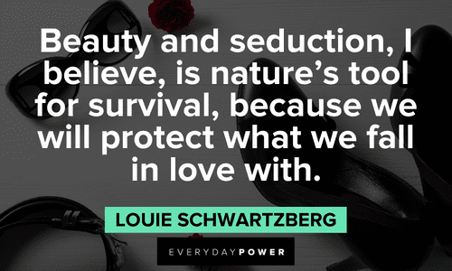 “Beauty and seduction, I believe, is nature’s tool for survival, because we will protect what we fall in love with.” – Louie Schwartzberg beauty and Seduction quotes