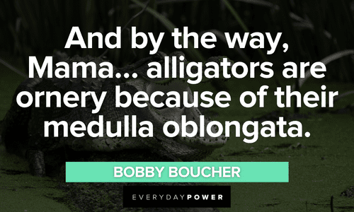 “And by the way, Mama... alligators are ornery because of their medulla oblongata.” - Bobby Boucher The Waterboy quotes from Bobby Boucher
