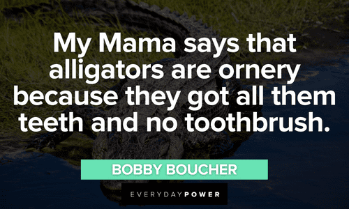 “My Mama says that alligators are ornery because they got all them teeth and no toothbrush.” - Bobby Boucher The Waterboy quotes about alligators