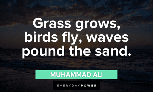 “Grass grows, birds fly, waves pound the sand.” - Muhammad Ali beautiful waves quotes
