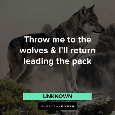 “Throw me to the wolves & I'll return leading the pack” ― Unknown pack of Wolves Quotes