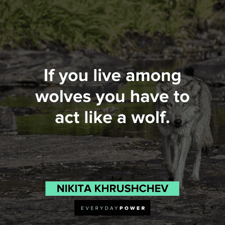 “If you live among wolves you have to act like a wolf.” – Nikita Khrushchev Wolves Quotes and sayings