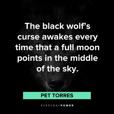 “The black wolf’s curse awakes every time that a full moon points in the middle of the sky.” - Pet Torres Wolf Quotes about The black wolf’s curse