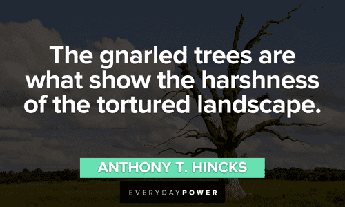 “The gnarled trees are what show the harshness of the tortured landscape.” - Anthony T. Hincks Forest quotes about the trees