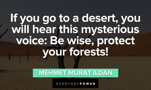 “If you go to a desert, you will hear this mysterious voice: Be wise, protect your forests!” - Mehmet Murat ildan Forest quotes about protection