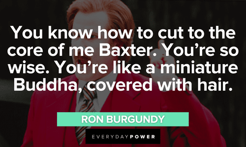 "You know how to cut to the core of me Baxter. You're so wise. You're like a miniature Buddha, covered with hair." - Ron Burgundy Ron Burgundy quotes about baxter