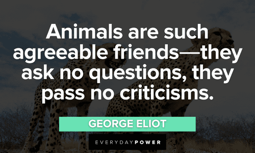 “Animals are such agreeable friends―they ask no questions, they pass no criticisms.” - George Eliot beautiful Forest quotes about animals