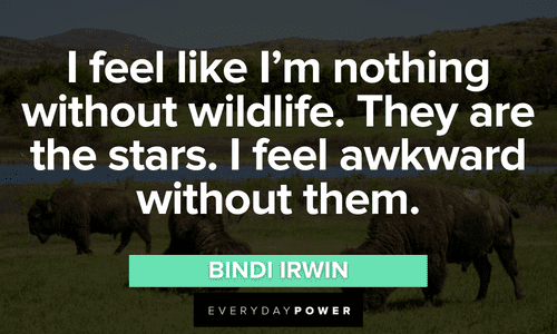 “I feel like I’m nothing without wildlife. They are the stars. I feel awkward without them.” - Bindi Irwin beautiful Forest quotes about wildlife