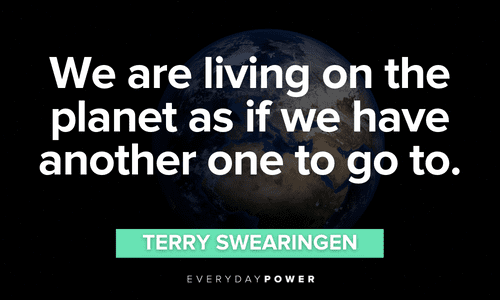 “We are living on the planet as if we have another one to go to.” - Terry Swearingen Forest quotes about protecting our planet